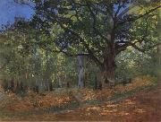 The Bodmer Oak,Forest of Fontainebleau Claude Monet